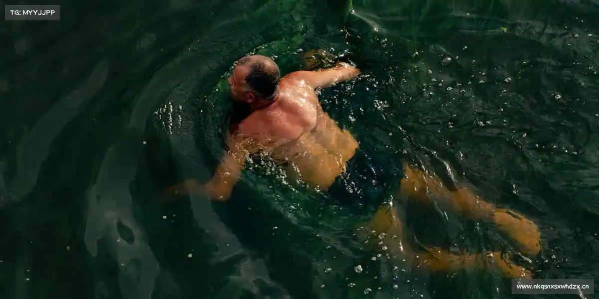 南宫NG28🥋一招一式,皆是对自我的严苛打磨 —— 武道精神,永不止息!